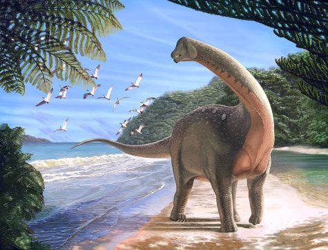 Mansourasaurus shinae: Research Will Never Die