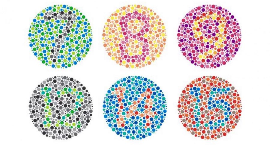 Colorblindness: The People Behind the Condition