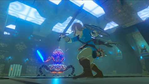 Link fighting at gaurdian scout