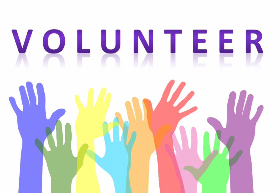 Three Unique Volunteer Opportunities in Fairfield County