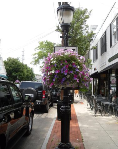 How Downtown Darien Is Changing – Neirad