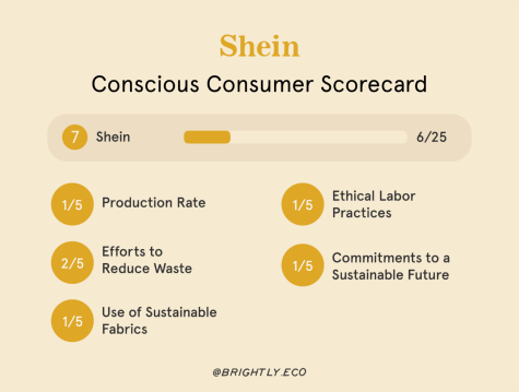 Is Fast Fashion Bad? The Climate Impact of Brands Like Shein