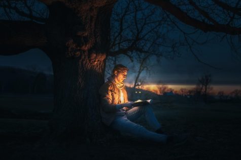 Reading under tree