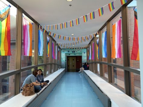 Hallway decorated with pride flags
