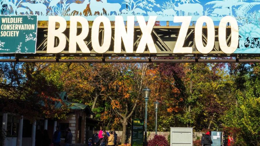 The Bronx Zoo, which is widely known for its conservation program