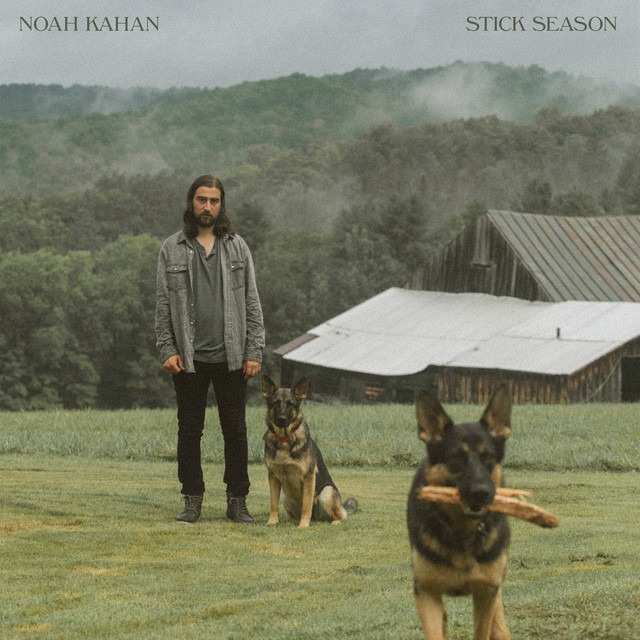 Stick Season album cover