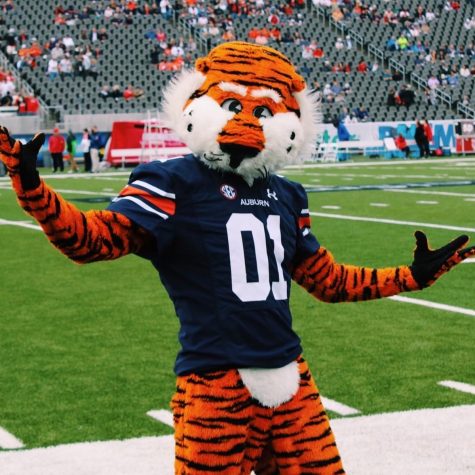 Breaking down the real March Madness: Mascot fights! - CultureMap Houston