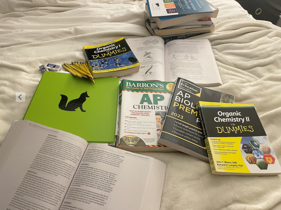 Study guides and prep books are useful resources for self-studiers and those who are taking the course alike - Photo by Fiona Bischoff