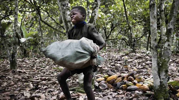 Child Labor in Your Chocolate