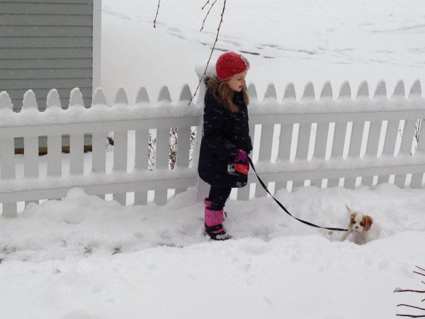 In 2015, when there was 59 inches of snow in Hartford. Here I am after one of many normal snow storms that winter season where there was so much snow a path had to be shoveled for our new puppy to walk around.