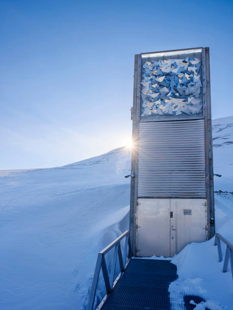 Humanity's back-up plan: The Svalbard Global Seed Vault.